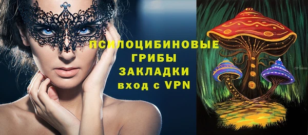 герыч Алексин